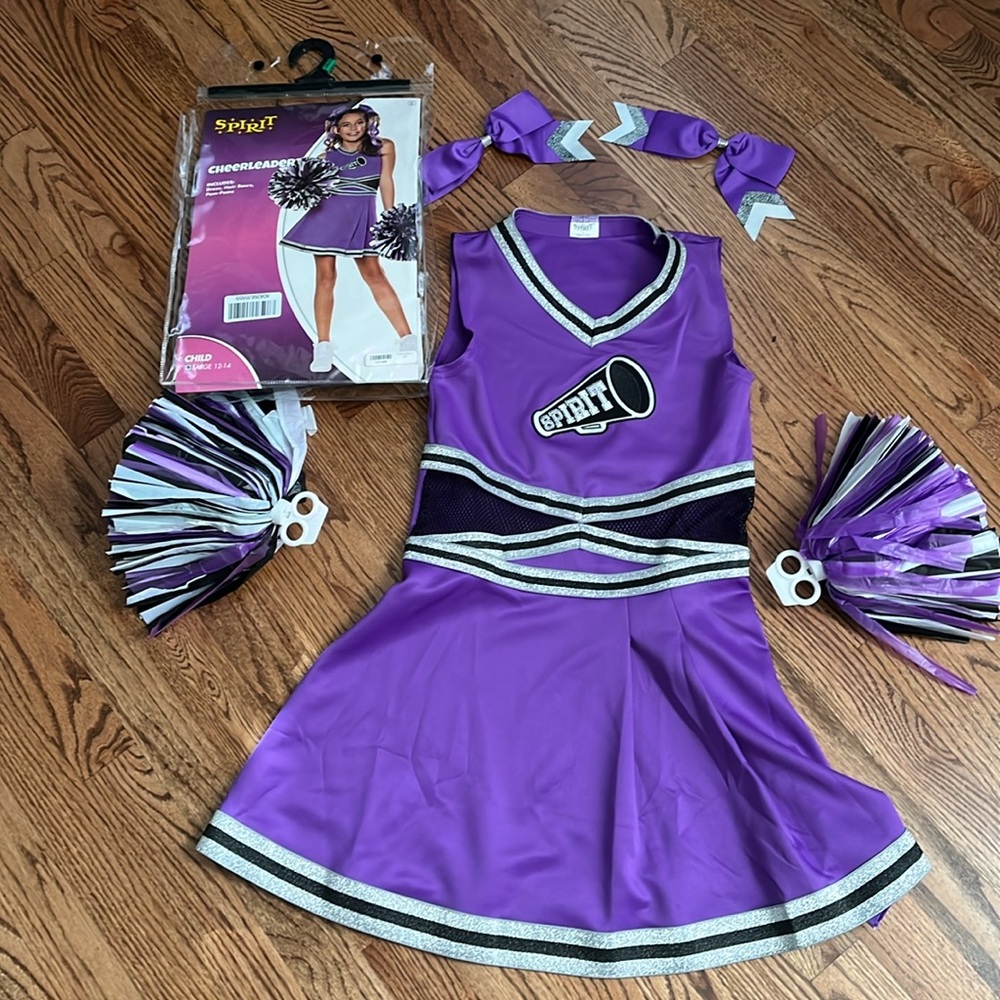 NWT Cheerleader Outfit Girls size Large 12-14 purple
